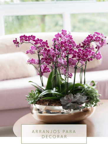 Arranjos para Decorar