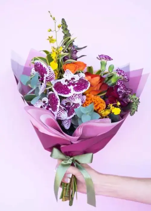AnyConv.com__1 (1)
